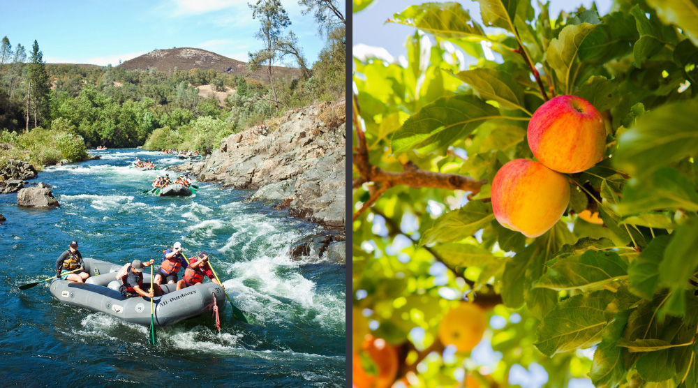 Rafting and Apple Hill are the perfect pairing.