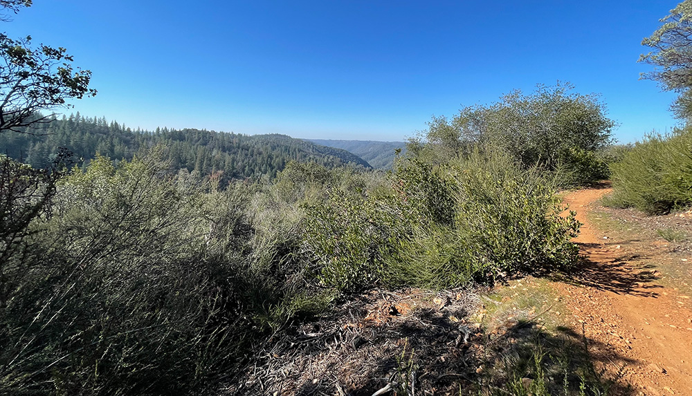 Foresthill Divide Loop Trail